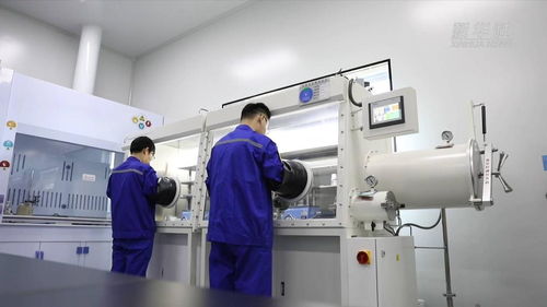 淄博科技向新引領(lǐng)產(chǎn)業(yè)向高 信息技術(shù)咨詢服務(wù)驅(qū)動(dòng)企業(yè)轉(zhuǎn)型升級(jí)