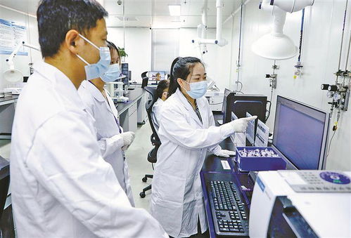 廈門 發展高端高能產業，培育高質量創新主體，企業信息技術咨詢服務賦能新質生產力